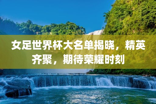 女足世界杯大名单揭晓，精英齐聚，期待荣耀时刻常熟市高丰毛纺织品有限公司