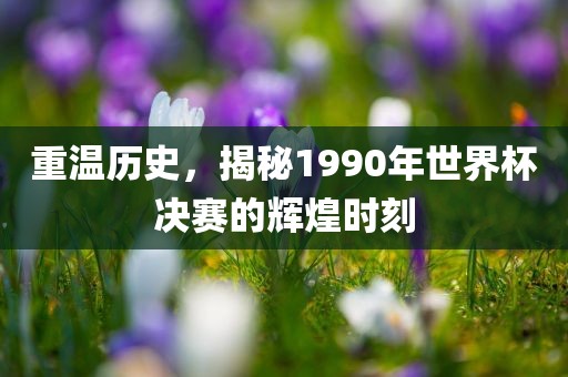 常熟市高丰毛纺织品有限公司重温历史，揭秘1990年世界杯决赛的辉煌时刻
