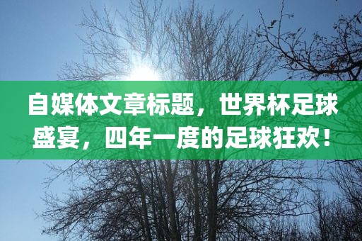 自媒体文章标题，世界杯足球盛宴，四年一度的足球狂欢！常熟市高丰毛纺织品有限公司