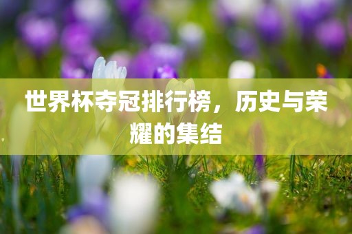 世界杯夺冠排行榜，历史与荣耀的集结常熟市高丰毛纺织品有限公司