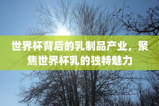shiyijing 第3页