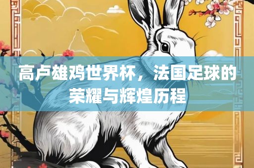 高卢雄鸡世界杯，法国足球的荣耀与辉煌历程常熟市高丰毛纺织品有限公司