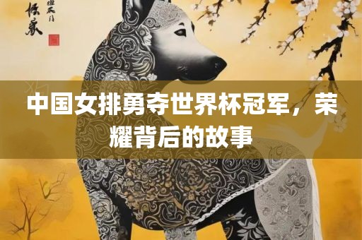 中国女排勇夺世界杯冠军，荣耀背后的故事常熟市高丰毛纺织品有限公司