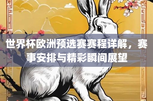 世界杯欧洲预选赛赛程详解，赛事安排与精彩瞬间展望