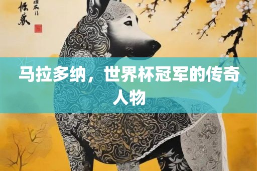 马拉多纳，世界杯冠军的传奇人物