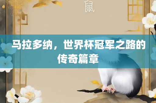 马拉多纳，世界杯冠军之路的传奇篇章常熟市高丰毛纺织品有限公司