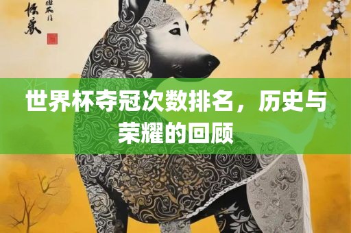 世界杯夺冠次数排名，历史与荣耀的回顾