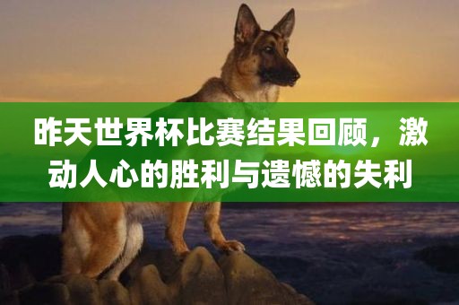 昨天世界杯比赛结果回顾，激动人心的胜利与遗憾的失利