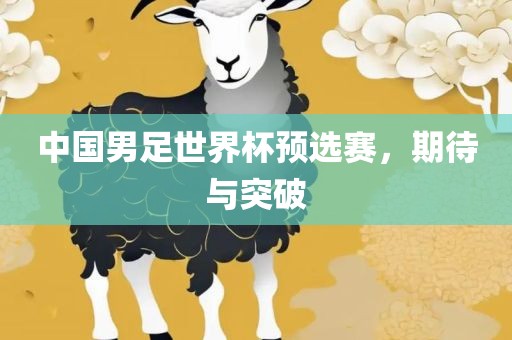 中国男足世界杯预选赛，期待与突破常熟市高丰毛纺织品有限公司