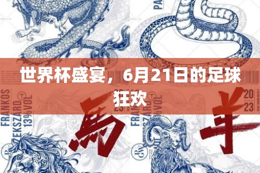 世界杯盛宴，6月21日的足球狂欢常熟市高丰毛纺织品有限公司