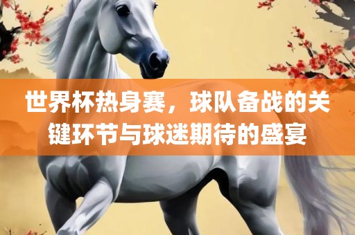 世界杯热身赛，球队备战的关键环节与球迷期待的盛宴