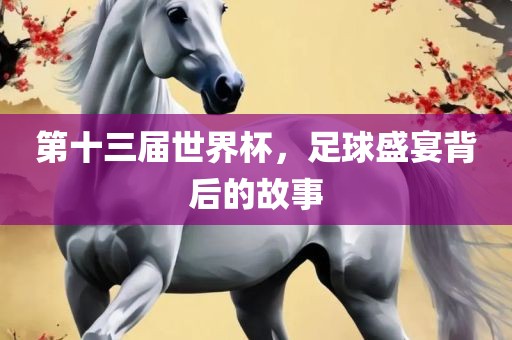 第十三届世界杯，足球盛宴背后的故事常熟市高丰毛纺织品有限公司
