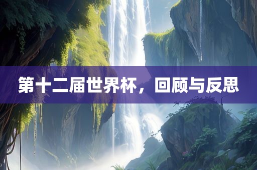 第十二届世界杯，回顾与反思