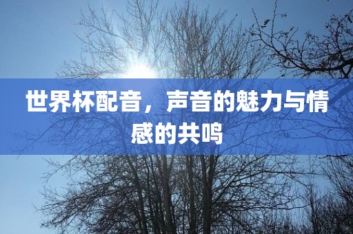 世界杯配音，声音的魅力与情感的共鸣