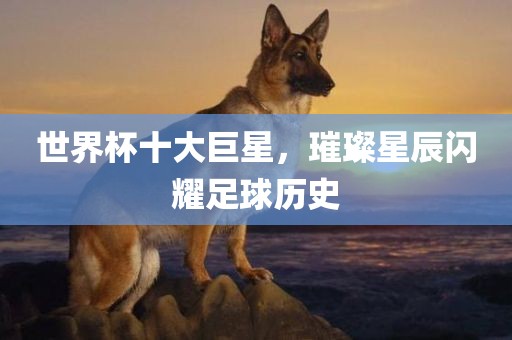 世界杯十大巨星，璀璨星辰闪耀足球历史常熟市高丰毛纺织品有限公司