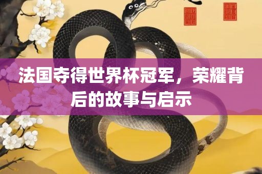 法国夺得世界杯冠军，荣耀背后的故事与启示