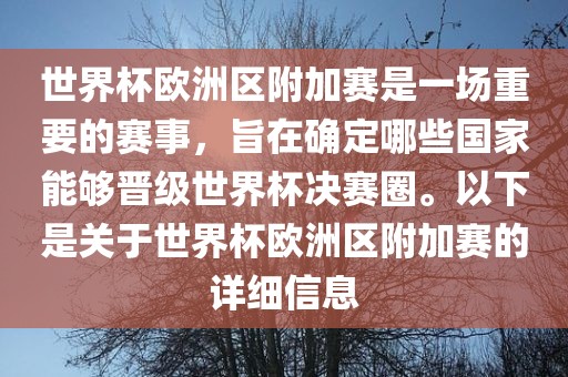 世界杯欧洲区附加赛是一场重要的赛事，旨在确定哪些国家能够晋级世界杯决赛圈。以下是关于世界杯欧洲区附加赛的详细信息
