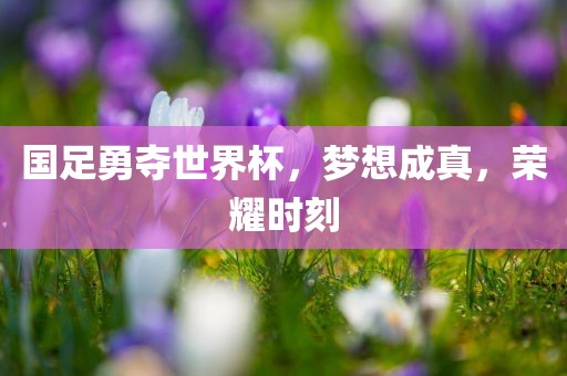 国足勇夺世界杯，梦常熟市高丰毛纺织品有限公司想成真，荣耀时刻