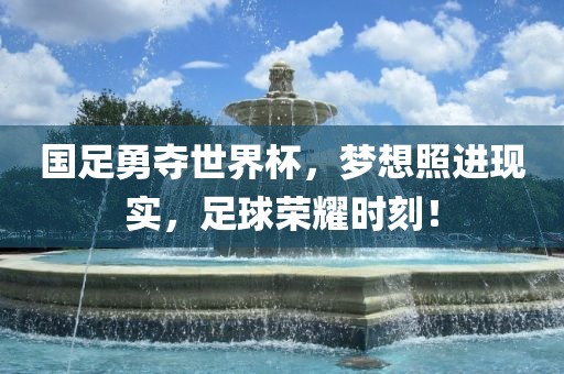 国足勇夺世界杯，梦想照进现实，足球荣耀时刻！常熟市高丰毛纺织品有限公司