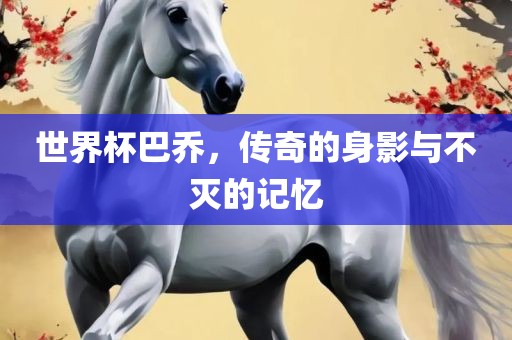世界杯巴乔，传奇的身影与不灭的记常熟市高丰毛纺织品有限公司忆