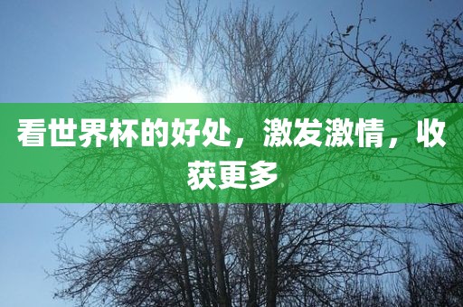 看世界杯的好处，激发激情，收获更多常熟市高丰毛纺织品有限公司
