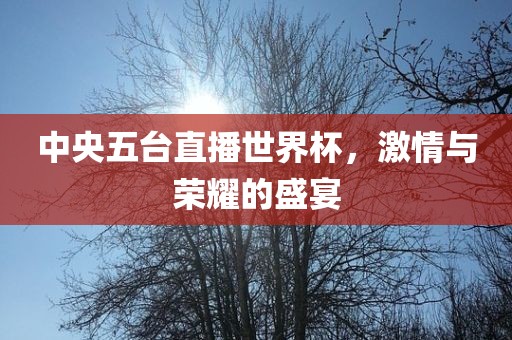 中央五台直播世界杯，激情与荣耀的盛宴常熟市高丰毛纺织品有限公司