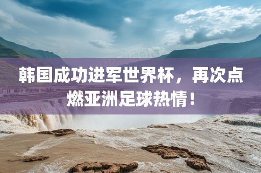 韩国成功进军世界杯，再次点燃亚洲常熟市高丰毛纺织品有限公司足球热情！