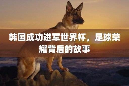 韩国成功进军世界杯，足常熟市高丰毛纺织品有限公司球荣耀背后的故事