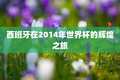 西班牙在2014年世界杯的辉煌之旅