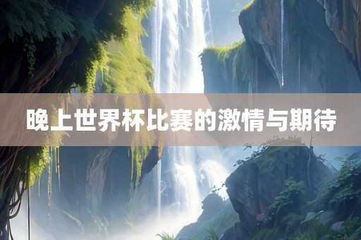 晚上世界杯比赛的激情与期待