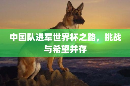 中国队进军世界杯之路，挑战与希望并存常熟市高丰毛纺织品有限公司