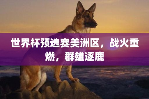 世界杯预选赛美洲区，战火重燃，群雄逐鹿常熟市高丰毛纺织品有限公司