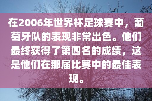 在2006年世界杯足球赛中，葡萄牙队的表现非常出色。他们最终获得了第四名的成绩，这是他们在那届比赛中的最佳表现。
