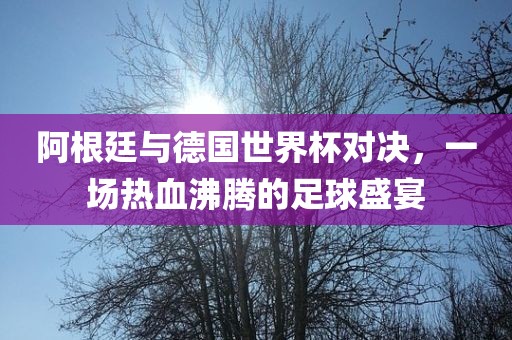 阿根廷与德国世界杯对决，一场热血沸腾的足球盛宴