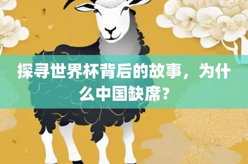 探寻世界杯背后的故事，为什么中国缺席？