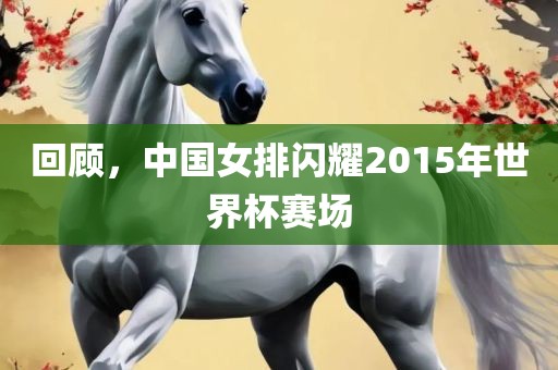 回顾，中国女排闪耀2015年世界杯赛场常熟市高丰毛纺织品有限公司