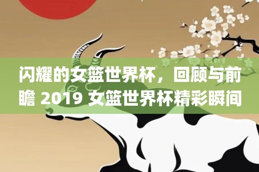 闪耀的女篮世界杯，回顾与前瞻 2019 女篮世界杯精彩瞬间