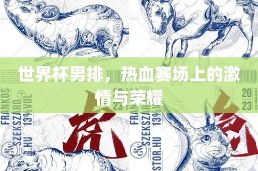 世界杯男排，热血赛场上的激情与荣耀常熟市高丰毛纺织品有限公司