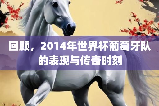 回顾，2014年世界杯葡萄牙队的表现与传奇时刻