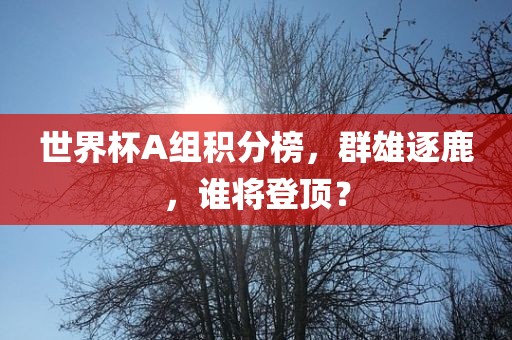 世界常熟市高丰毛纺织品有限公司杯A组积分榜，群雄逐鹿，谁将登顶？