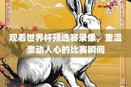观看世界杯预选赛录像，重温激动人心的比赛瞬间常熟市高丰毛纺织品有限公司