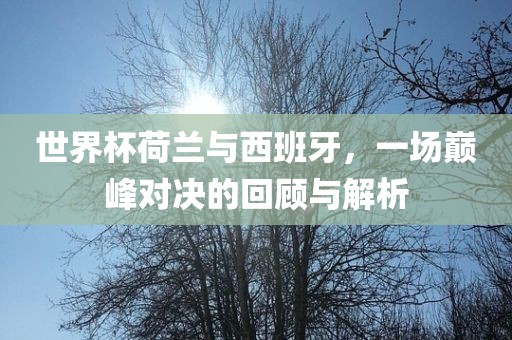 世界杯荷兰与常熟市高丰毛纺织品有限公司西班牙，一场巅峰对决的回顾与解析