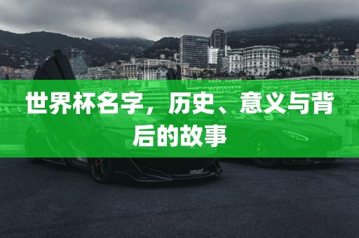 世界杯名字常熟市高丰毛纺织品有限公司，历史、意义与背后的故事