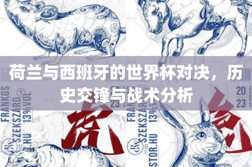 荷兰与西班牙的世界杯对决，历史交锋与战术分析常熟市高丰毛纺织品有限公司