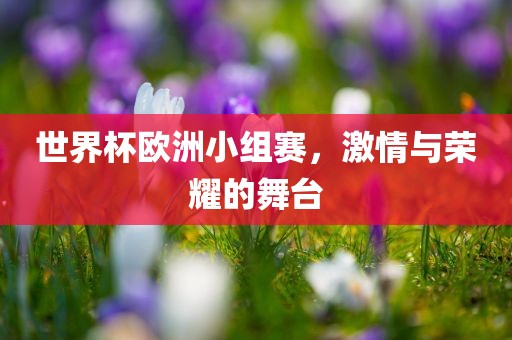 世界杯欧洲小组赛，常熟市高丰毛纺织品有限公司激情与荣耀的舞台