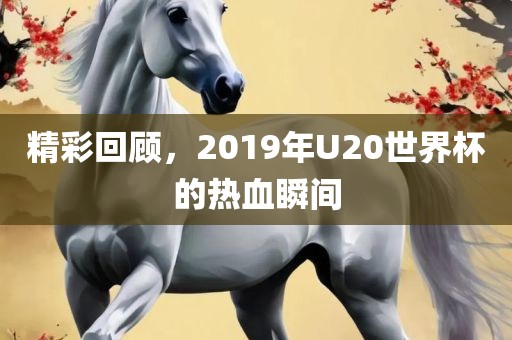 精彩回顾，2019年U20世界杯的热血瞬间
