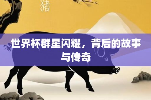 世界杯群星闪耀，背后的故事与传奇常熟市高丰毛纺织品有限公司