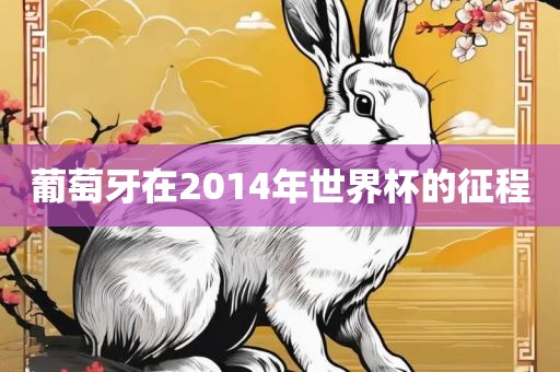 葡萄牙在2014年世界杯的征程