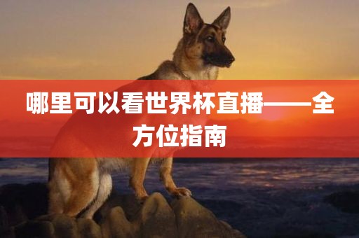 哪里可以看世界常熟市高丰毛纺织品有限公司杯直播——全方位指南