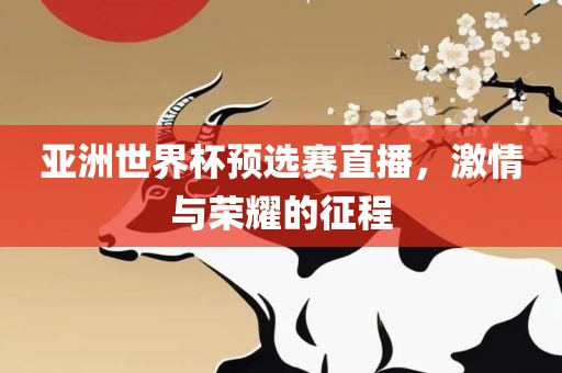 亚洲世界杯预选赛直播，激情与荣耀的征程